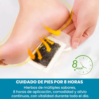 Parches Desintoxicantes Para Pies novoix